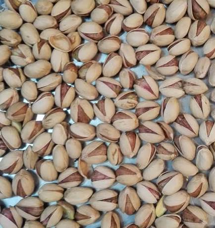 پسته فندقی ممتاز سورت شده مناسب سفارشهای تجاری + قیمت و خرید عمده